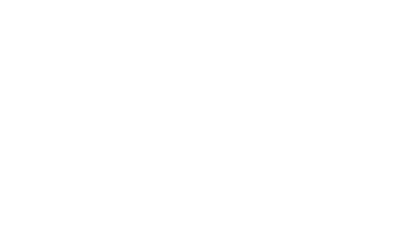 Portrait Pros